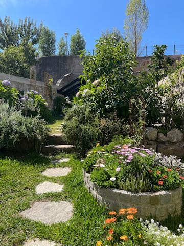 Hidden Gem near city center- garden, free parking