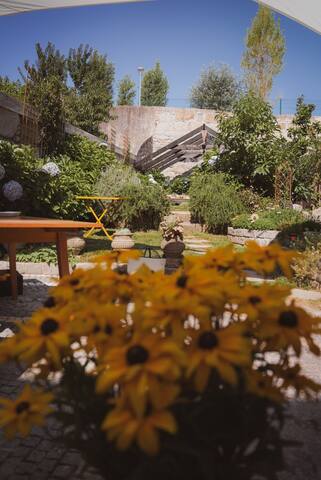 Hidden Gem near city center- garden, free parking gallery image 3