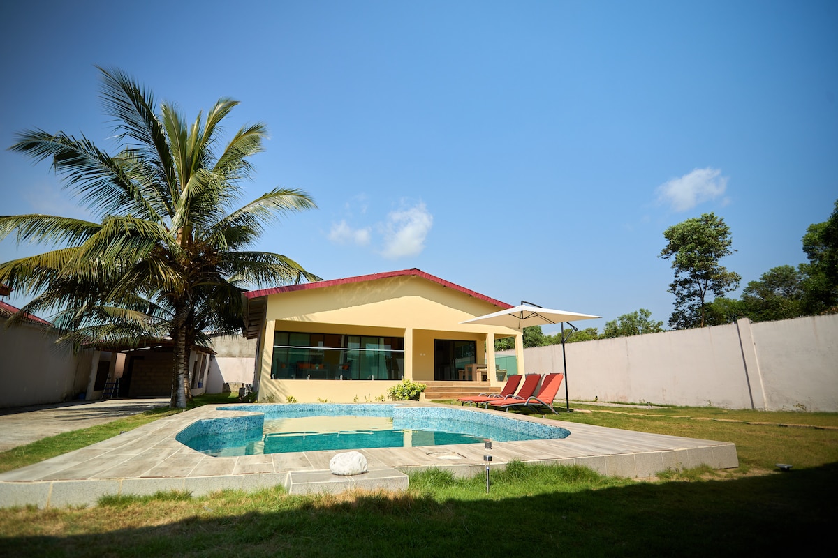 A single-story villa with large windows is surrounded by lush greenery. A small pool is positioned in the foreground, complemented by two lounge chairs and a sunshade. Palm trees provide shade, enhancing the outdoor space for relaxation.