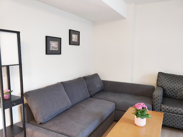 4br 2bath Basement Near Port Mann Bridge - Surrey, BC