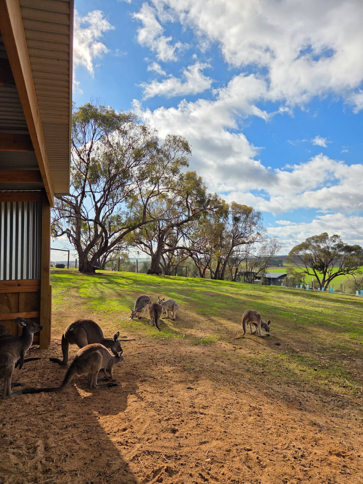 Barossa Pavilions