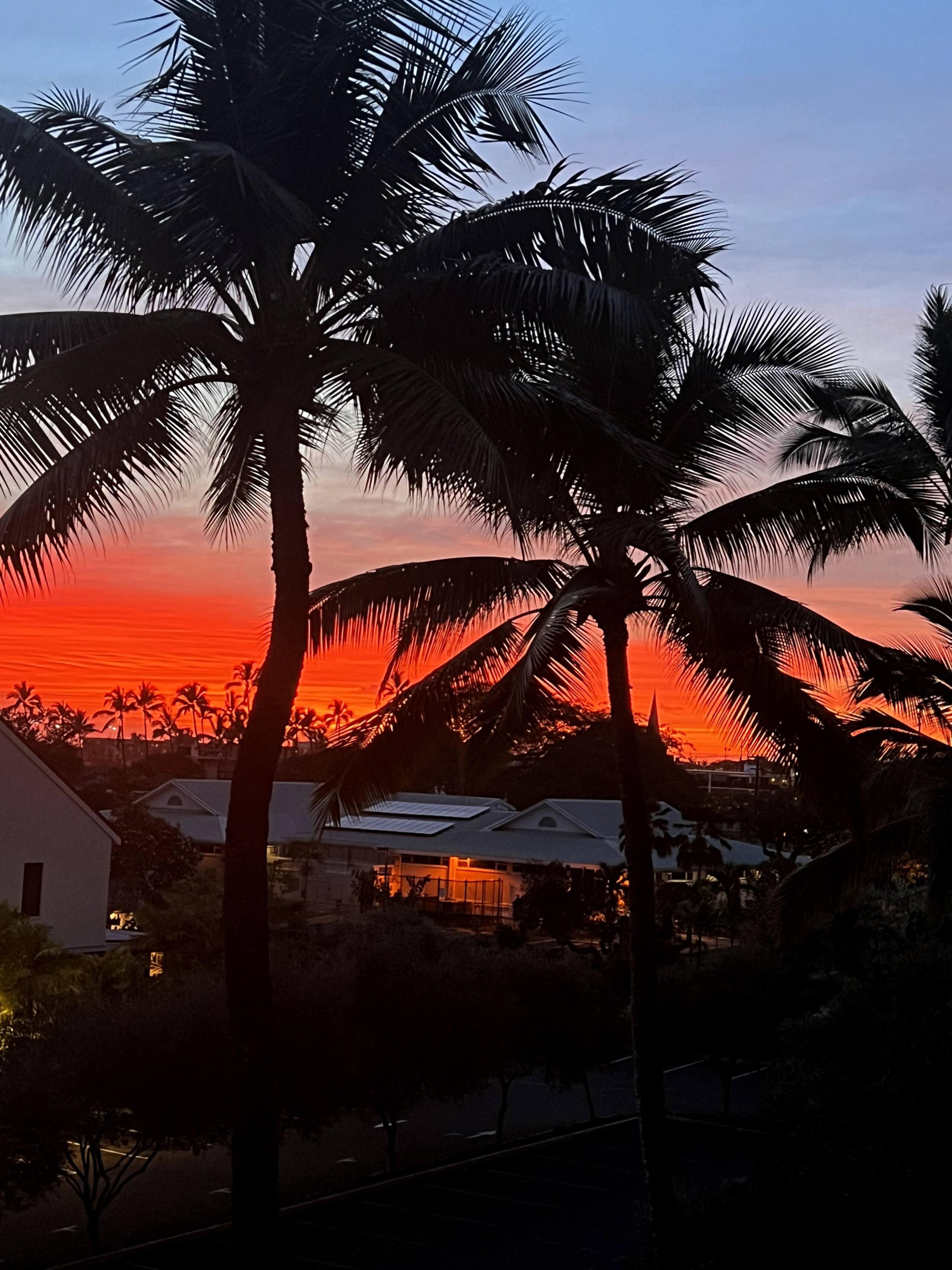 Condo in Kailua-Kona · ★4.95 · 1 bedroom · 1 bed · 1 bath - Image 14