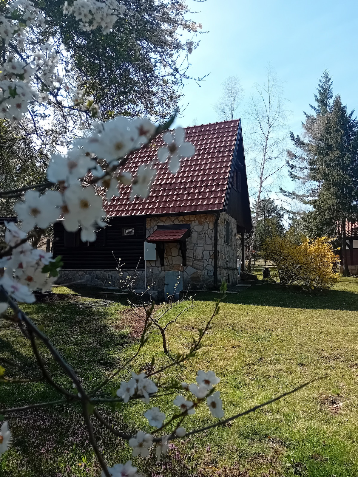 The cabin is depicted with a sloped red roof, constructed from a mix of wooden and stone materials. Surrounding greenery and blooming flowers add a touch of nature to the scene, while clusters of trees are visible in the background, enhancing the peaceful setting.