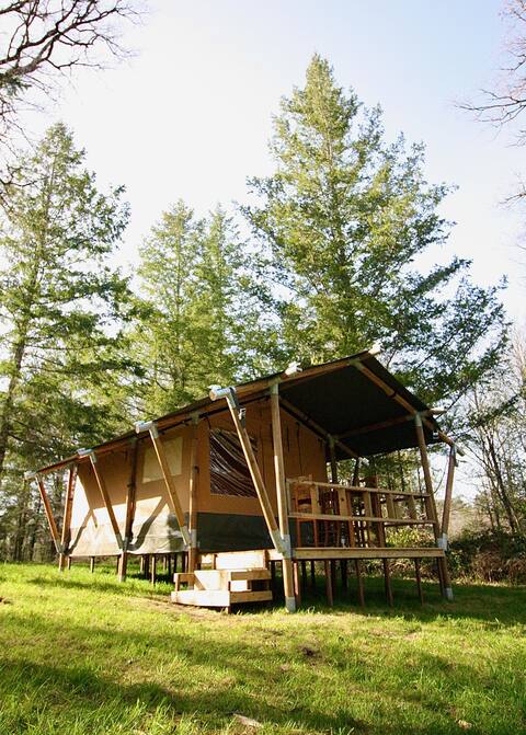 3 teepees and 1 lodge tent in the heart of nature