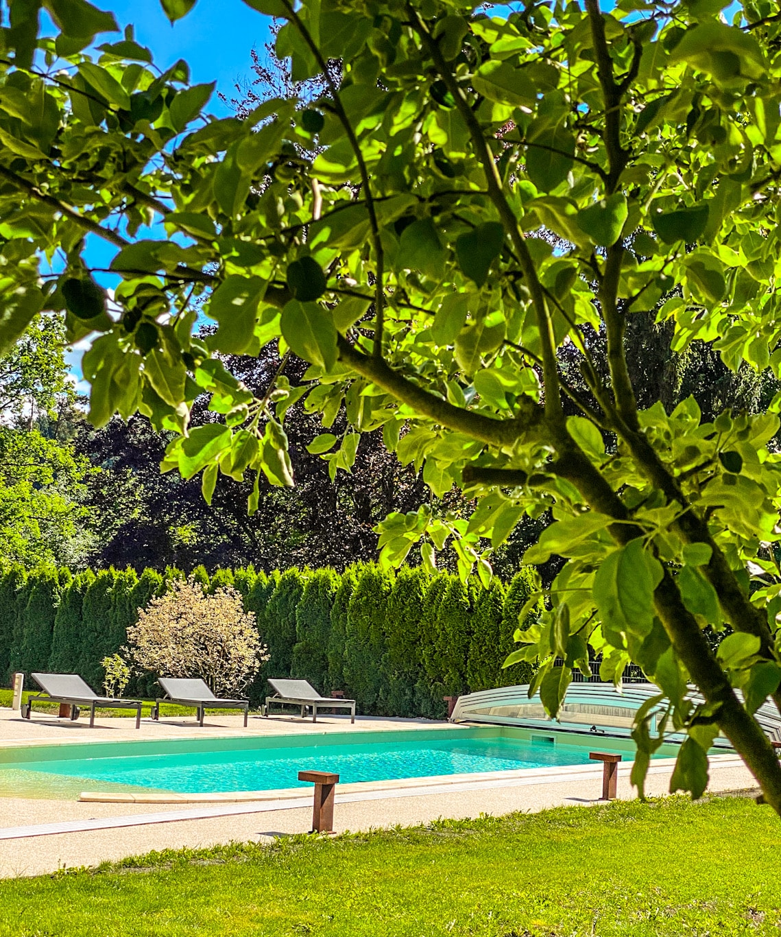 A tranquil swimming pool is framed by lush greenery, featuring sun loungers arranged nearby. The setting includes a well-maintained lawn and hedges that provide privacy, while clear blue skies enhance the serene atmosphere.