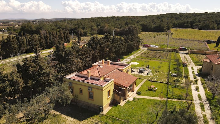 Pelazzi Farm/Farm House