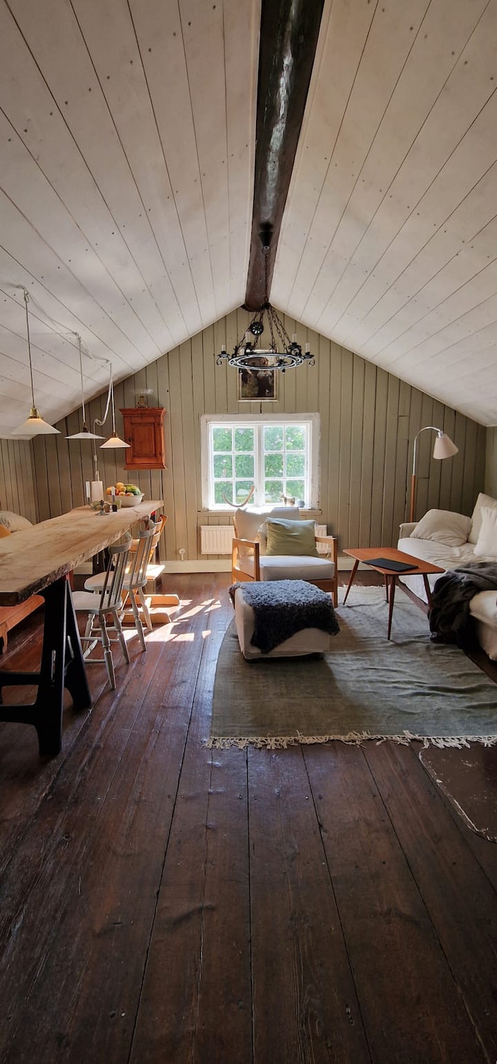 Მისაღები ოთახი გრძელი მაგიდით, დივნითა და ბუხრით. 