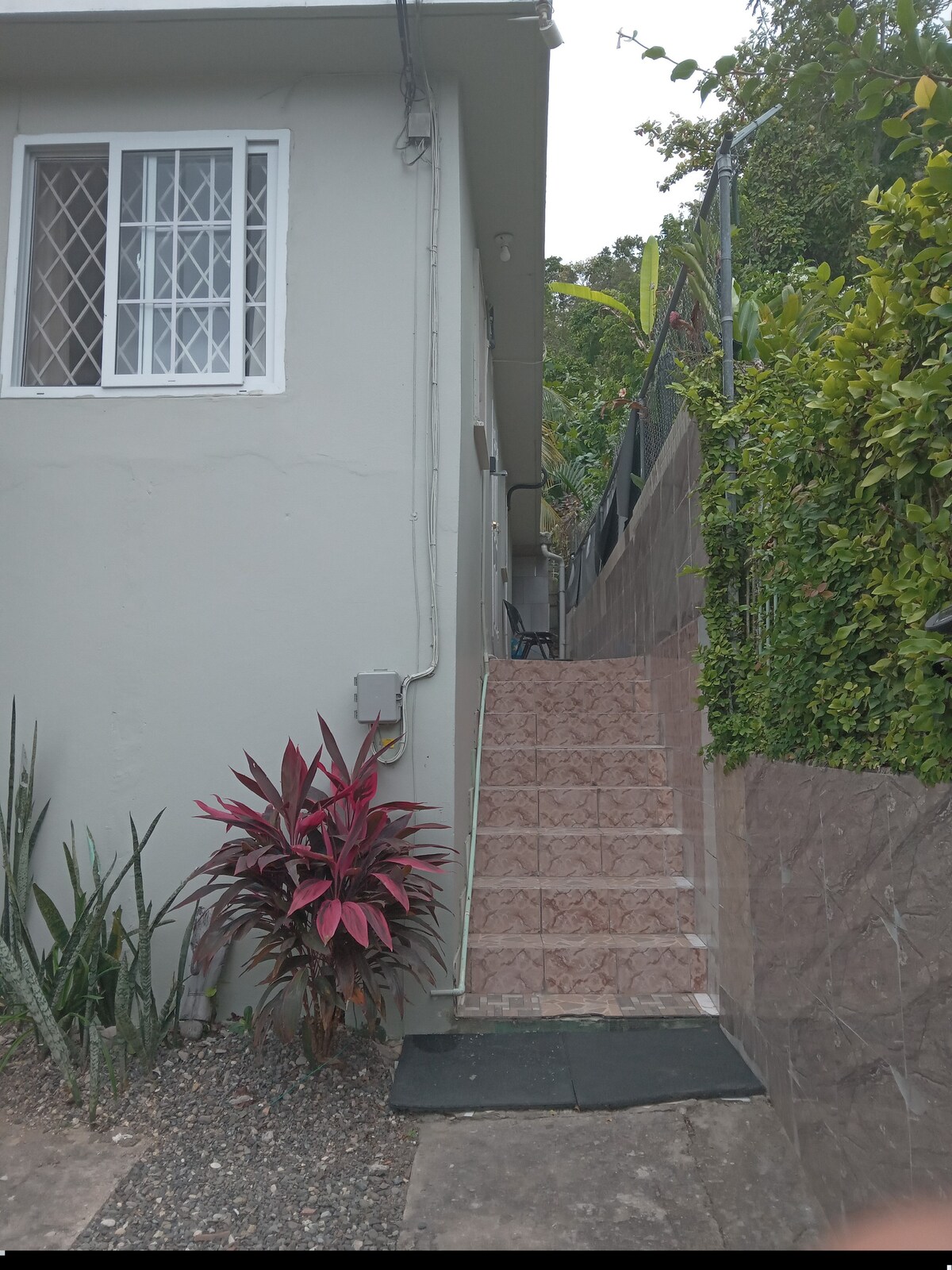A set of decorative tiled stairs leads up from the driveway, bordered by lush greenery. The side of the building shows a muted gray exterior, with a prominent window featuring a diamond lattice design. Colorful plants add vibrancy to the scene.