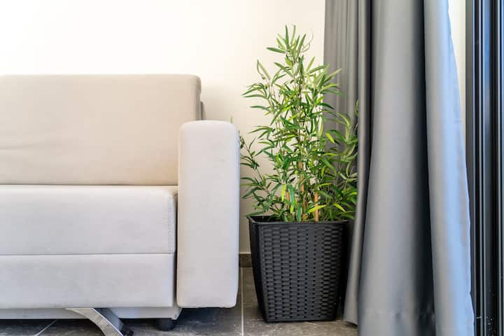 მისაღები ოთახი