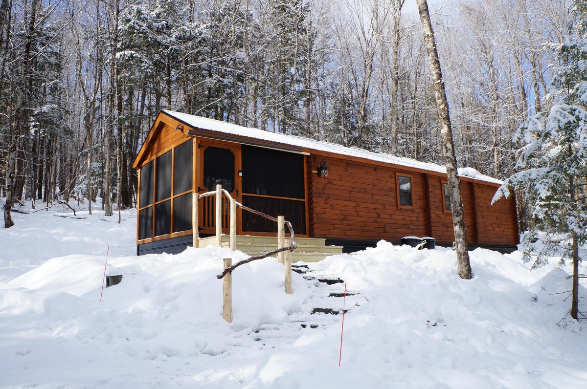 Alchemist's Cabin | Gothic Forest Retreat - Cabins for Rent in