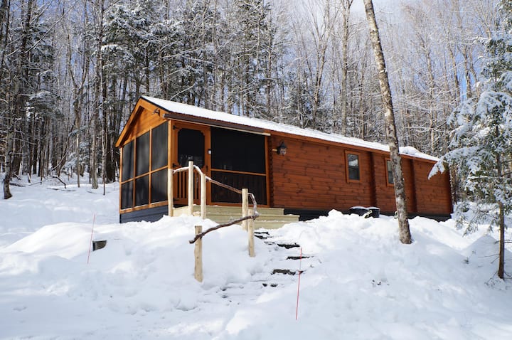 Alchemist's Cabin | Gothic Forest Retreat - Cabins for Rent in