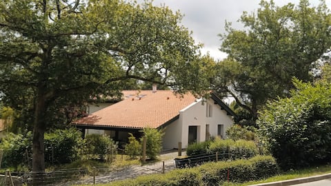 Stay in the Basque Country