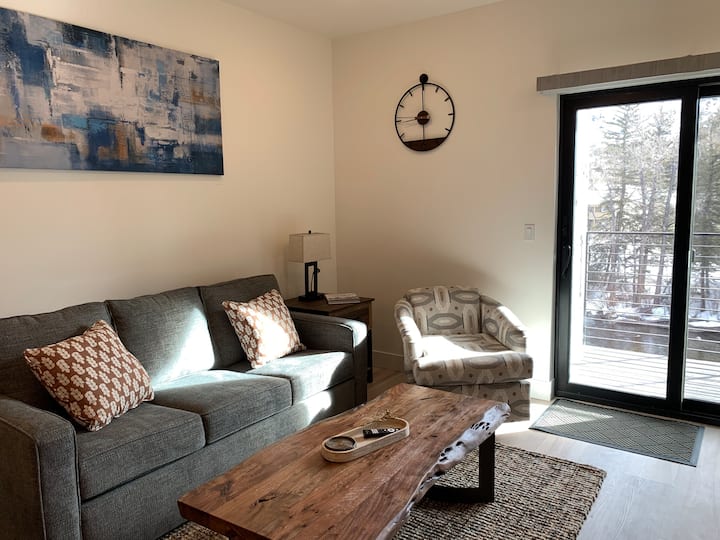 New! Luxury Riverfront Retreat With Mountain Views - Silverthorne, CO