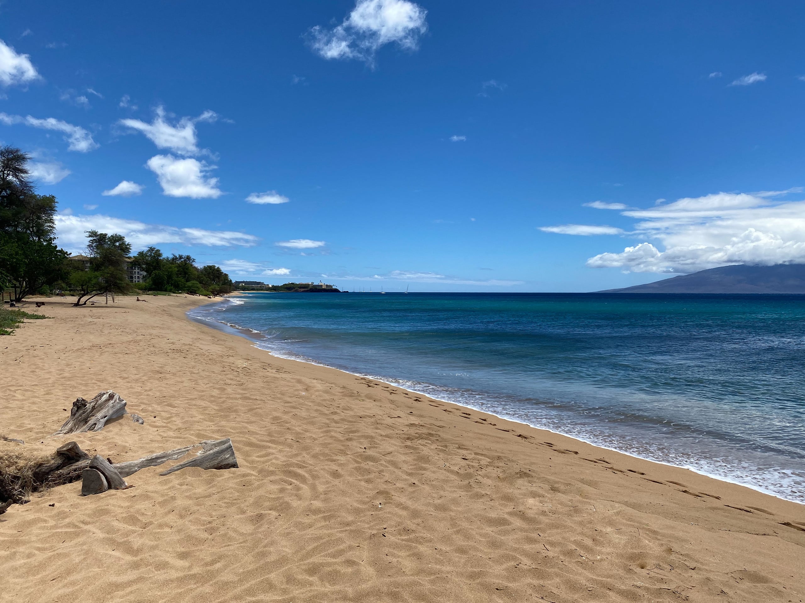 Condo in Lahaina · ★4.96 · 3 bedrooms · 4 beds · 3 baths - Image 56