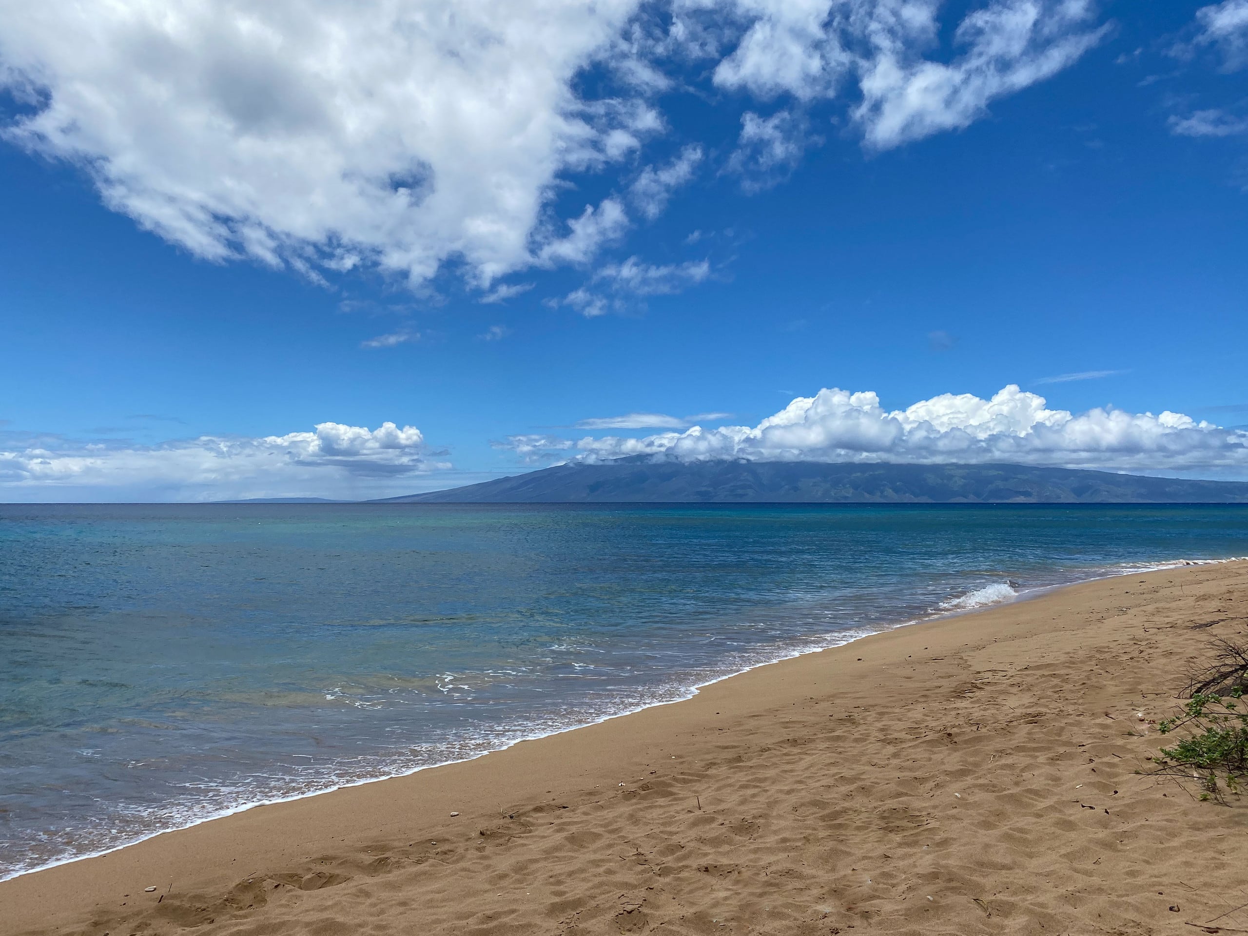 Condo in Lahaina · ★4.96 · 3 bedrooms · 4 beds · 3 baths - Image 54