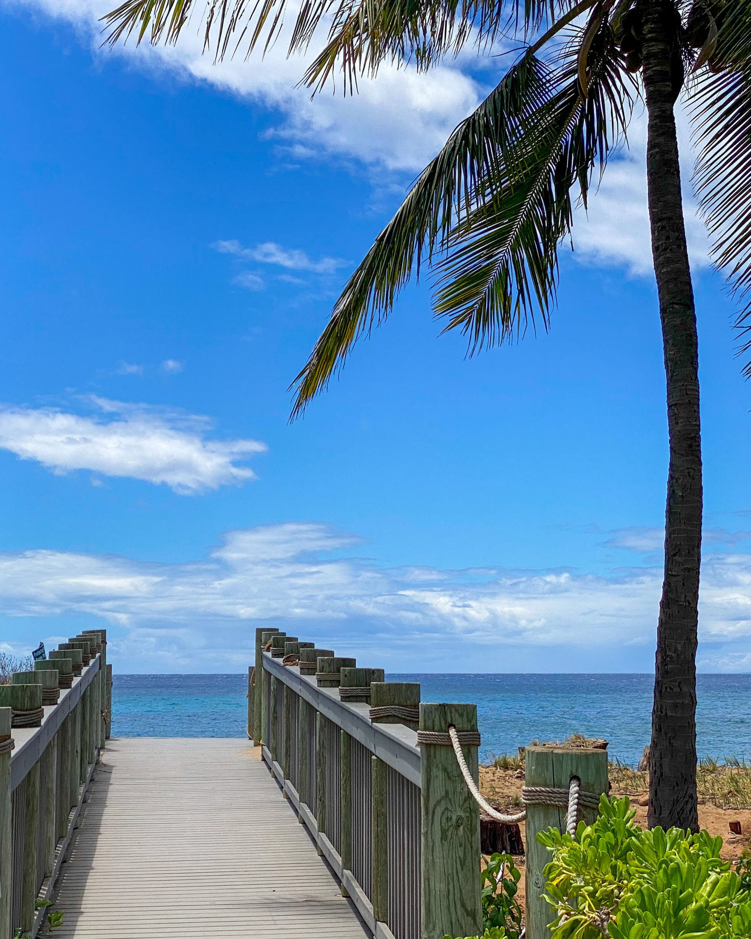 Condo in Lahaina · ★4.96 · 3 bedrooms · 4 beds · 3 baths - Image 58