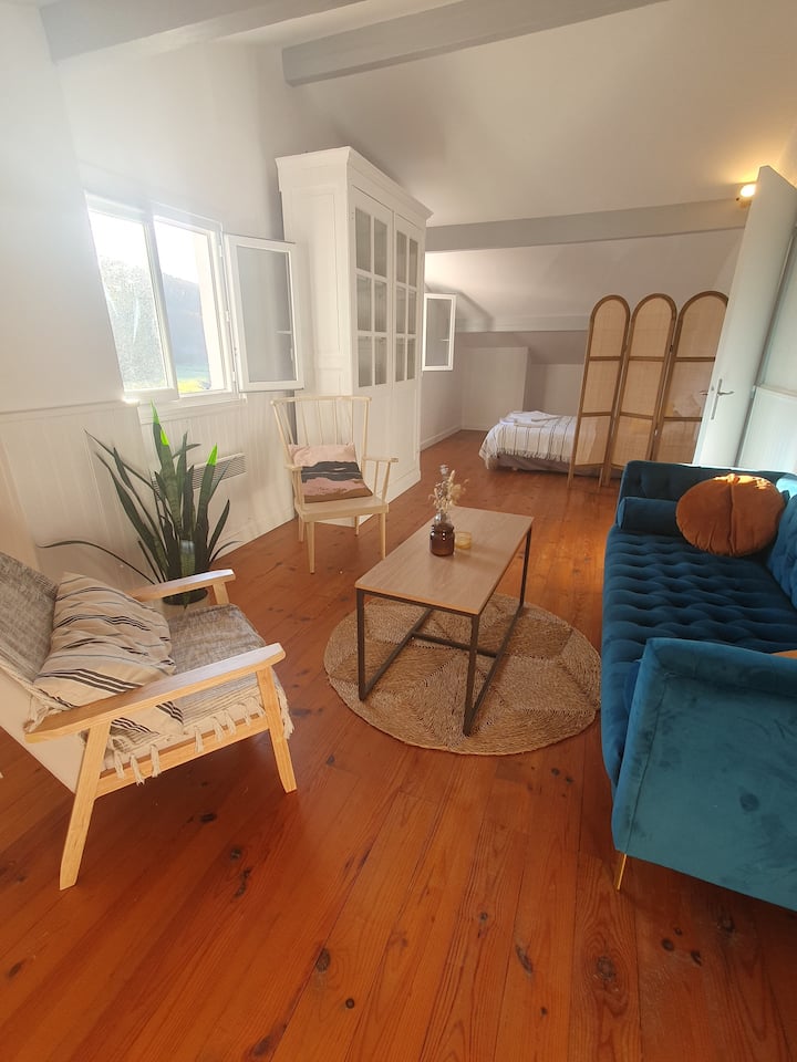 Appartement Calme Et Lumineux 8 Min Plages - Saint-Pée-sur-Nivelle