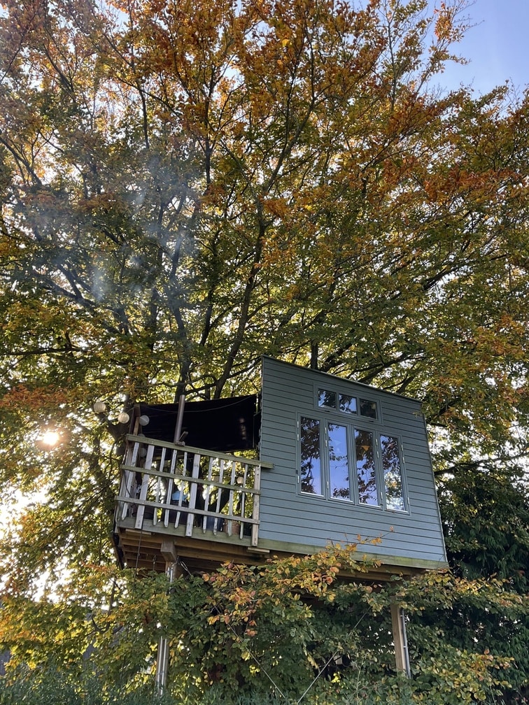 A tiny house is nestled in the branches of an old beech tree, surrounded by autumn leaves. Large windows allow natural light to fill the interior, while a balcony offers a view of the garden below. The structure is supported by sturdy wooden posts.