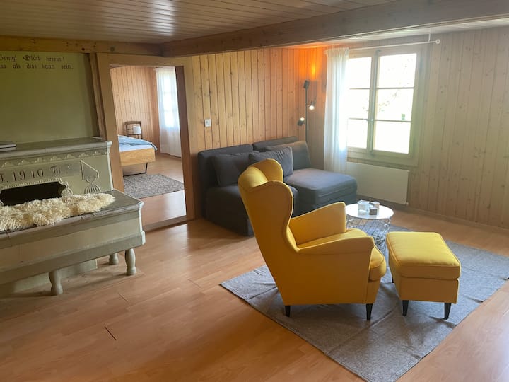 Chumba chenye starehe (sebule) kilicho na sofa inayoweza kubadilishwa.