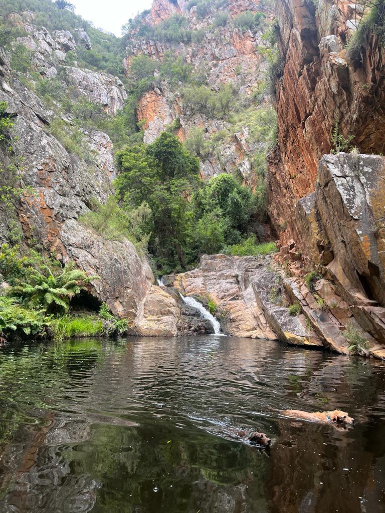 A serene natural landscape is depicted, featuring a calm body of water surrounded by towering rocky cliffs. A small waterfall cascades into the pool, while lush greenery lines the banks, embodying the tranquil beauty of the wilderness.