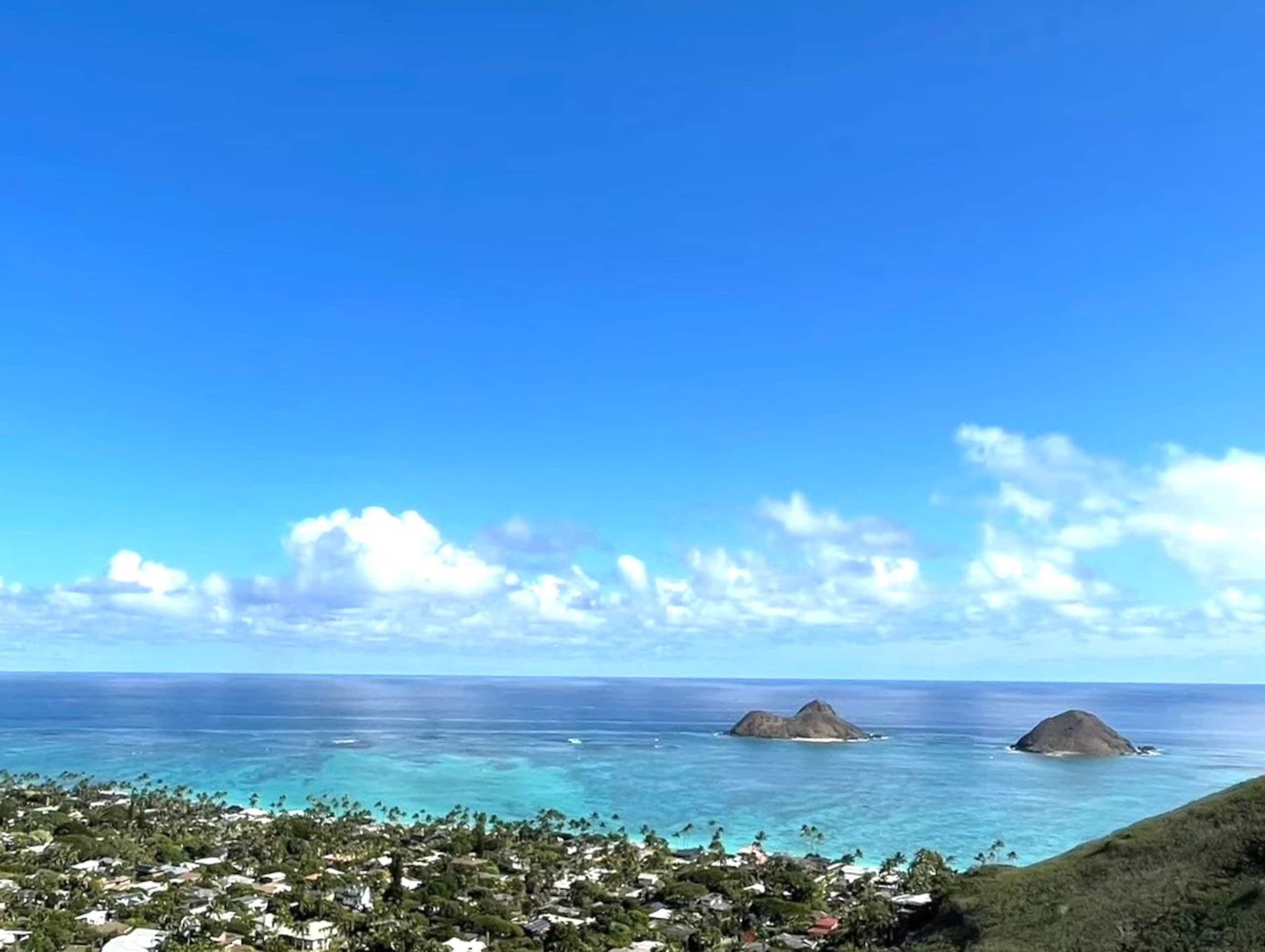Condo in Honolulu · ★4.54 · Studio · 1 bed · 1 shared bath - Image 13