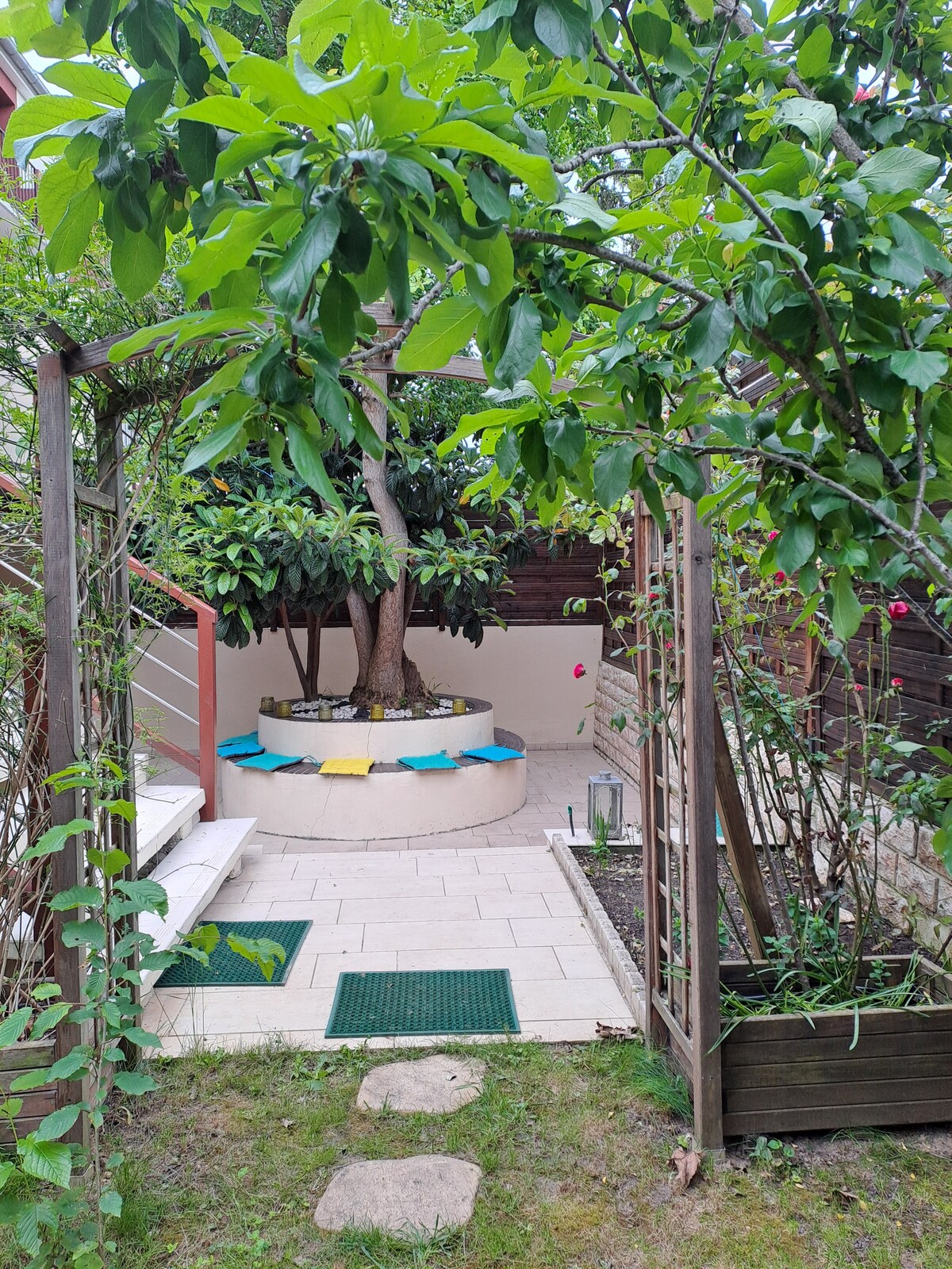 A garden area is framed by lush greenery, featuring a circular seating arrangement around a tree. Steps lead to a bright patio space, with colorful cushions adding a subtle vibrancy. The pathway is lined with stones and bordered by various plants, enhancing the serene environment.