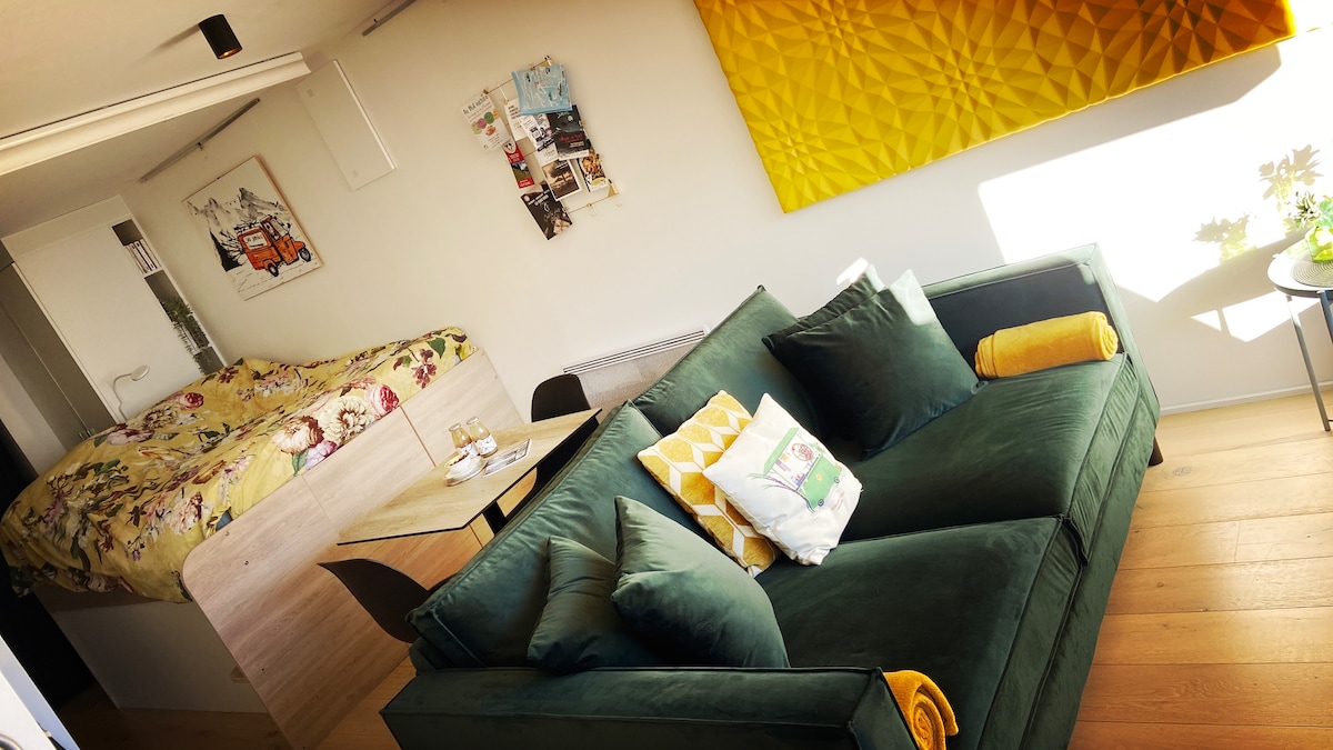 Top performing Airbnb: Beautiful spacious and bright studio in Samoëns