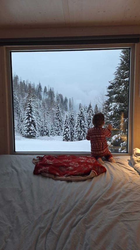 Among woods and traditions, regenerate in Sauris