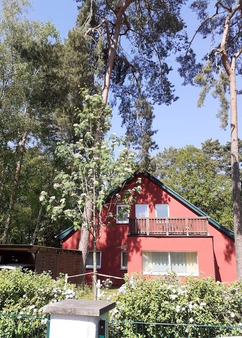 Apartment with garden and balcony near city limit