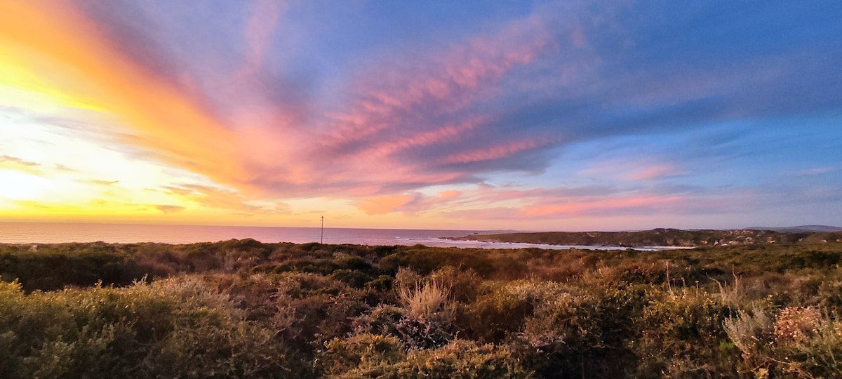 A panoramic view of the ocean is captured during sunset, showcasing a gradient of oranges, pinks, and blues in the sky. Rolling greenery and coastal vegetation are visible in the foreground, providing a natural border to the serene scene.