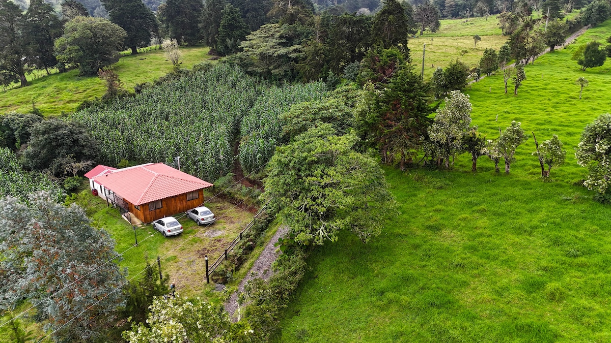 Aerial view of a rustic wooden cabin surrounded by lush greenery, highlighting a red roof contrasted with the vibrant green landscape. Two vehicles are parked in front of the cabin, and fields of tall grass and crops extend into the background, creating a peaceful rural setting.