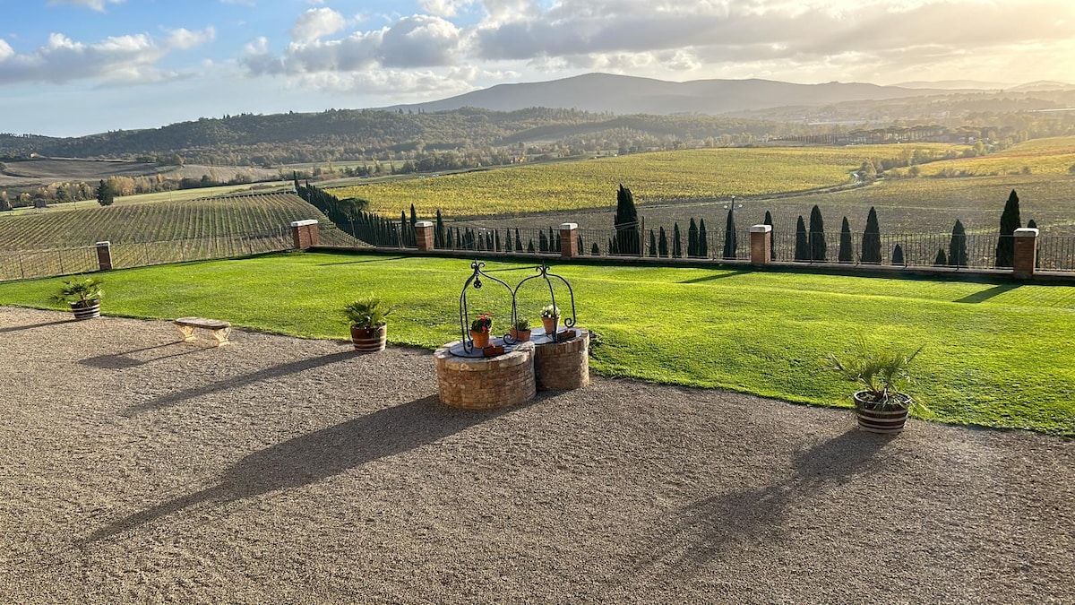 A spacious outdoor area features manicured green grass and decorative pots with plants. Two decorative swings are positioned on a stone platform, offering panoramic views of rolling hills and vineyard rows under a partly cloudy sky.