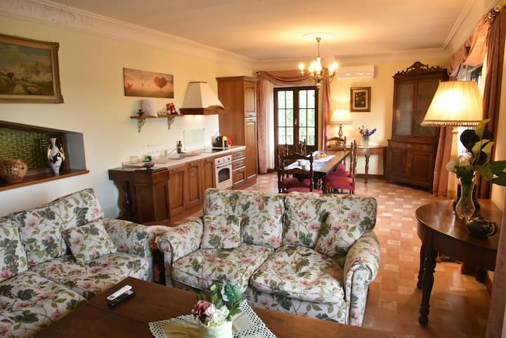 Მისაღები ოთახი ტელევიზორით, სასადილო და სადილის სივრცე, აღჭურვილი სამზარეულო, გვერდითი მაგიდა და ბუხარი