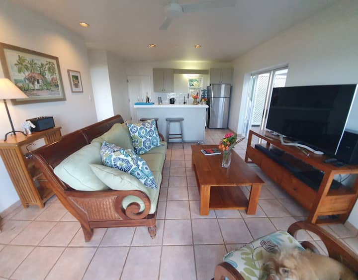 客厅、厨房和门廊门