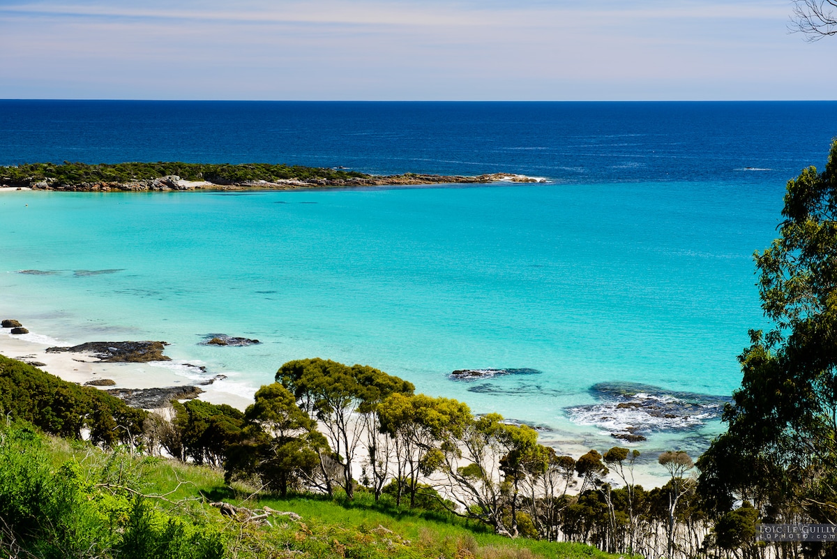 The image showcases a tranquil coastal scene where turquoise waters meet a sandy beach, framed by green foliage. Rocky outcrops are visible in the shallow water, and the soft lapping of waves can be imagined under the clear sky.