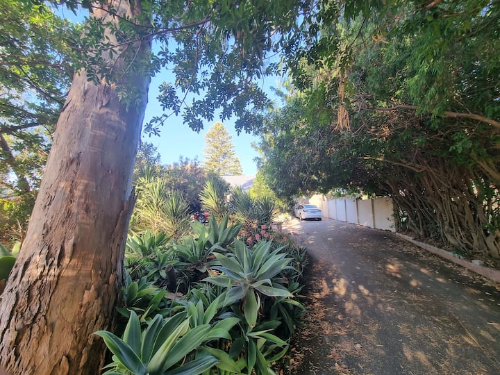 Home Amongst The Trees. - Fremantle
