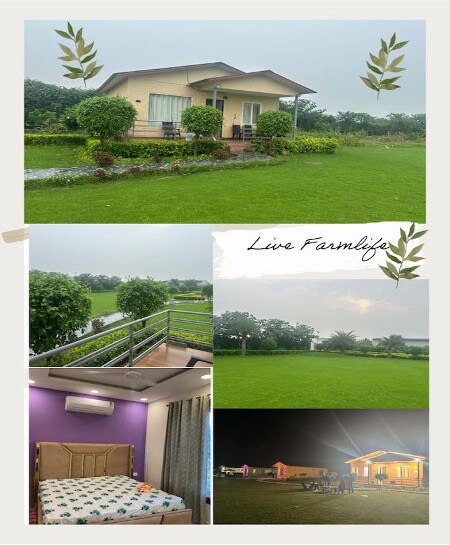 An independent cottage is set within a vast green lawn, framed by well-maintained hedges. The exterior showcases a covered porch, while the interior view reveals a cozy bedroom with a patterned bedspread. The surrounding landscape features expansive greenery and pathways leading to additional outdoor areas.