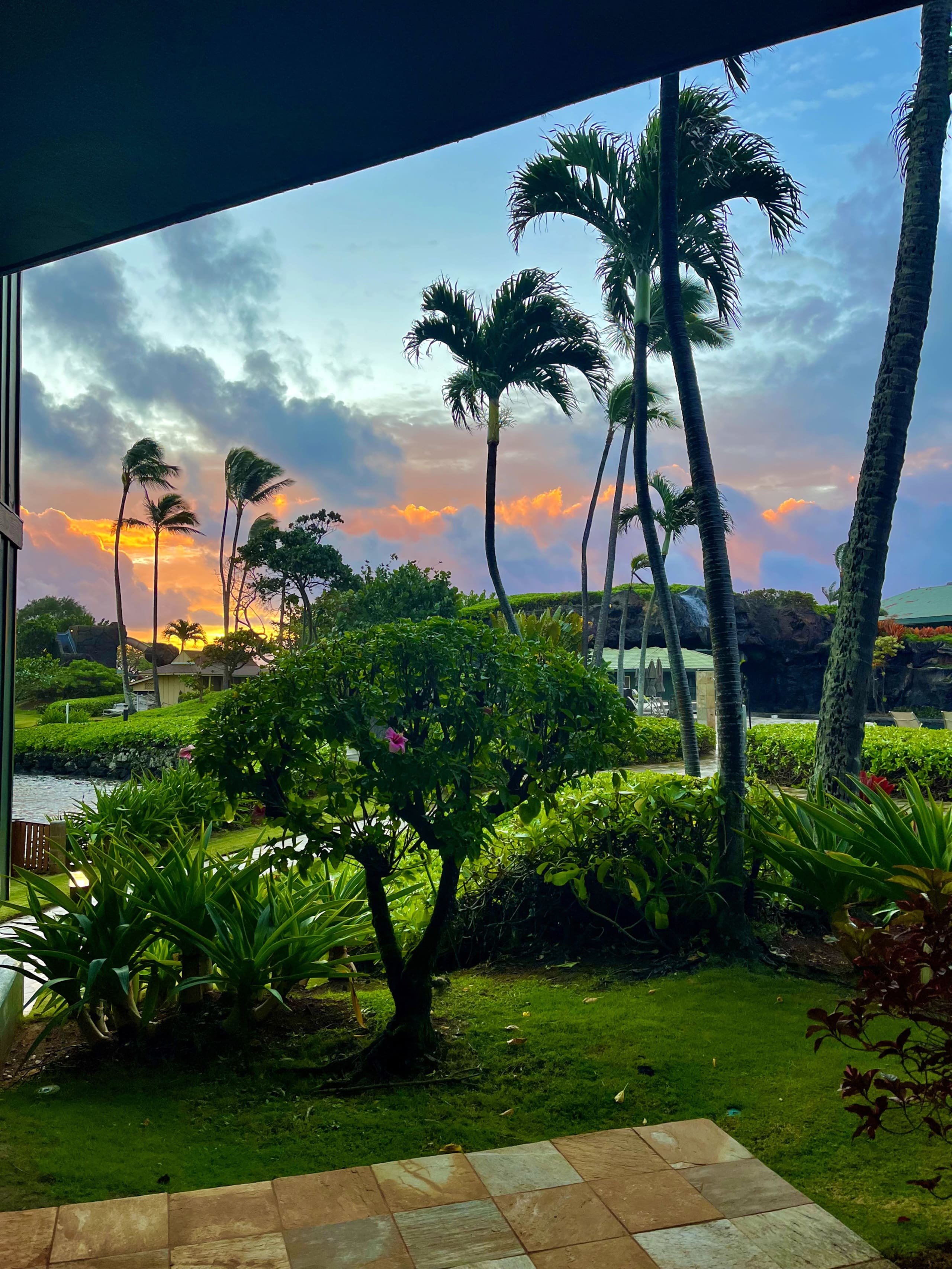 Condo in Lihue · ★4.88 · 1 bedroom · 1 shared bath - Image 20
