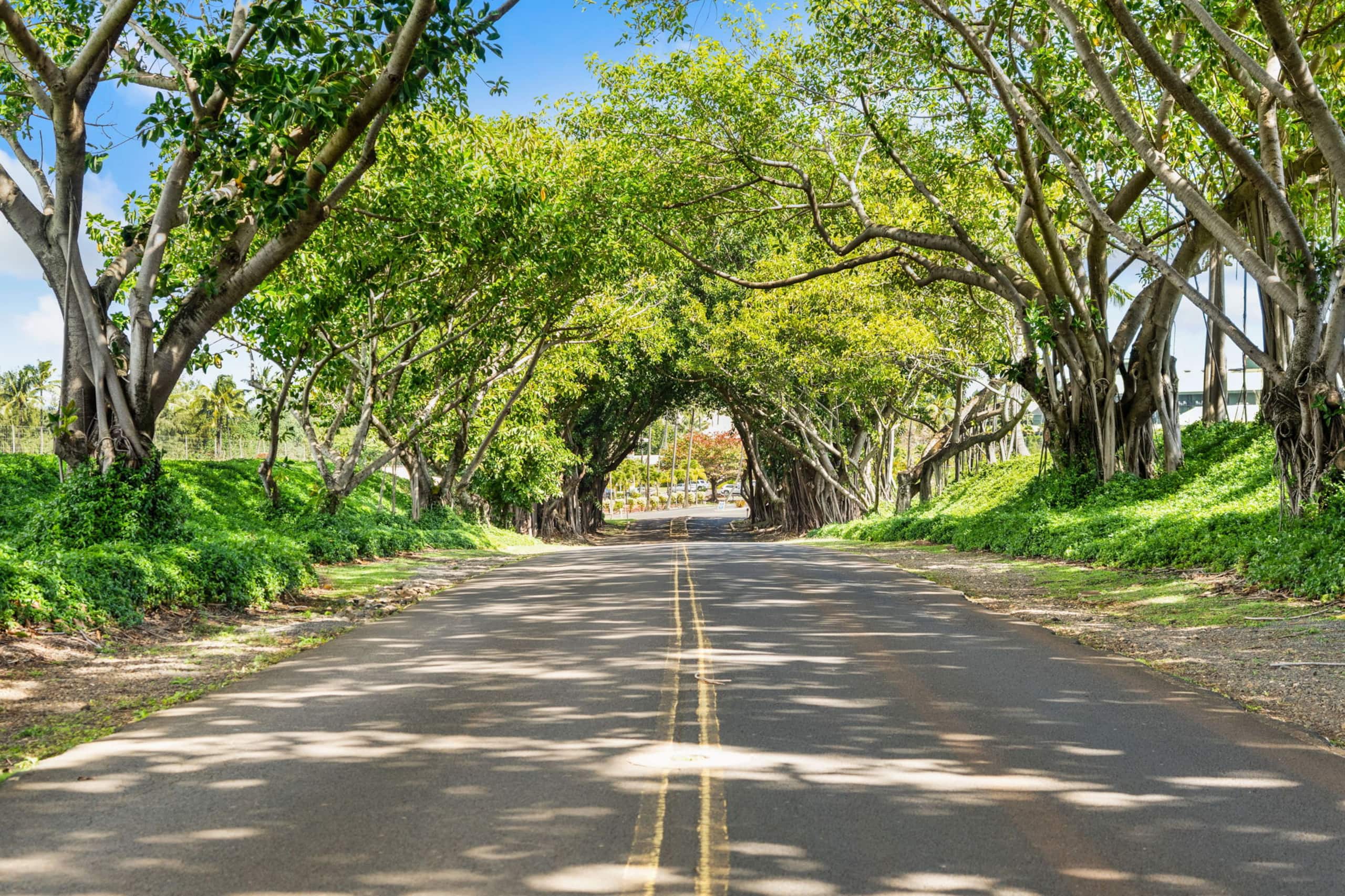 Condo in Lihue · ★4.88 · 1 bedroom · 1 shared bath - Image 61