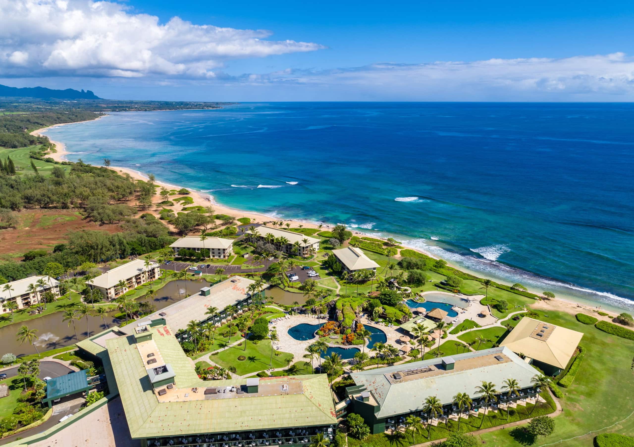 Condo in Lihue · ★4.88 · 1 bedroom · 1 shared bath - Image 47