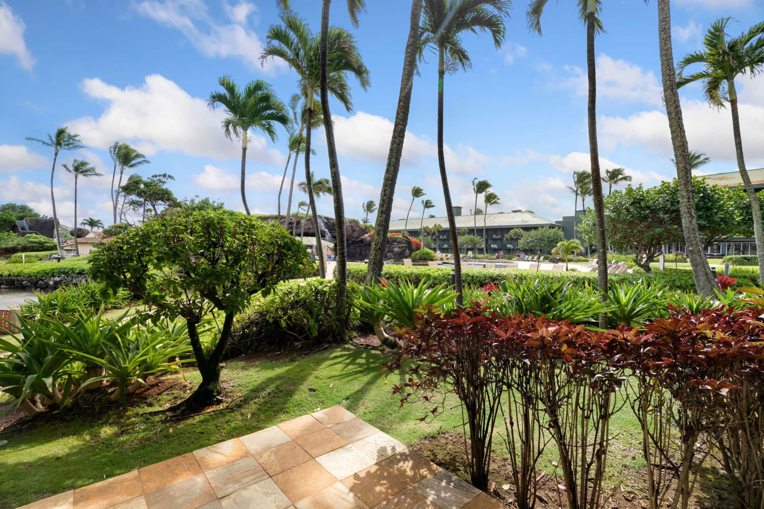 Condo in Lihue · ★4.88 · 1 bedroom · 1 shared bath - Image 19