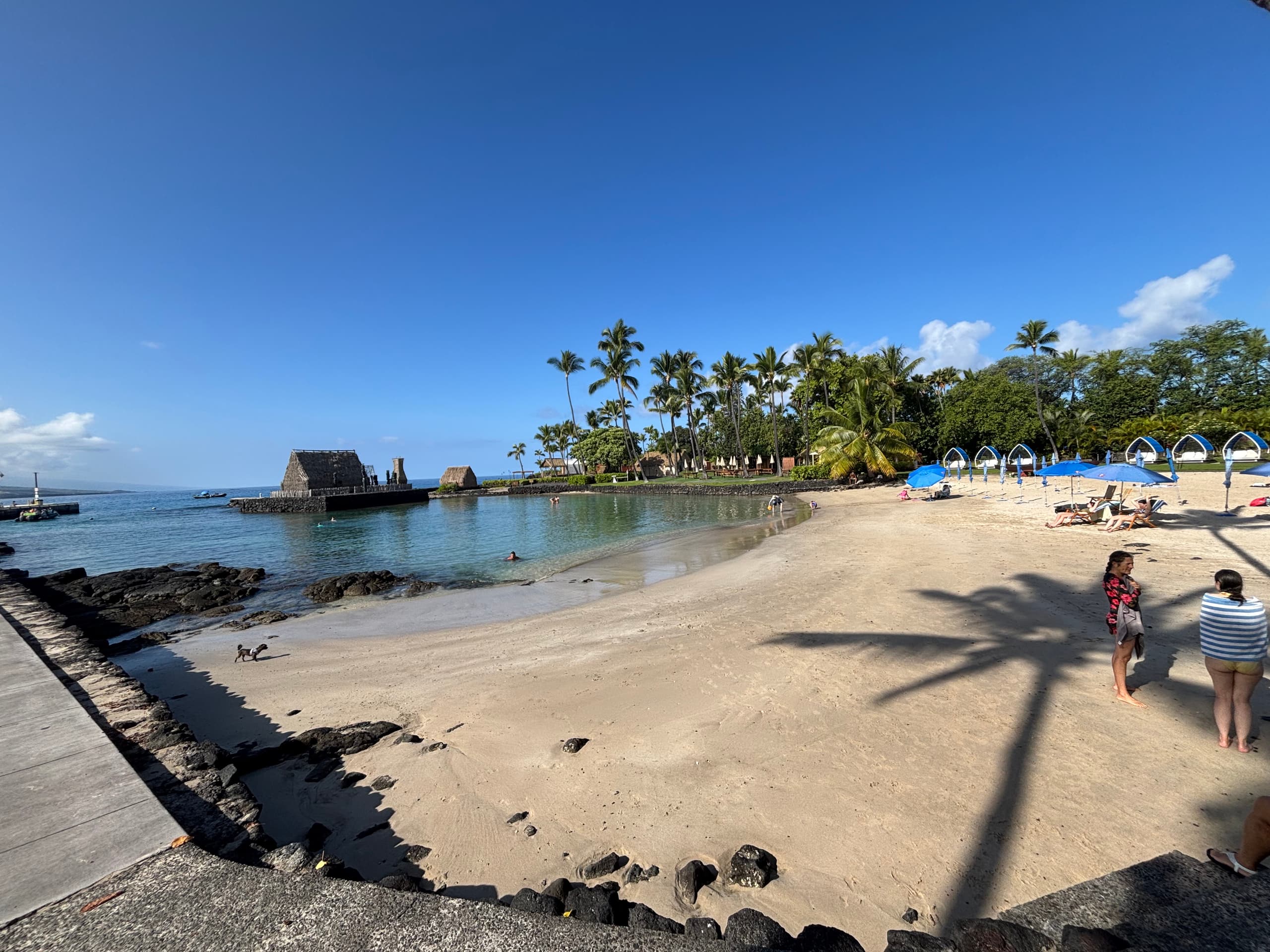 Condo in Kailua-Kona · ★4.84 · 1 bedroom · 1 bed · 1 private bath - Image 30