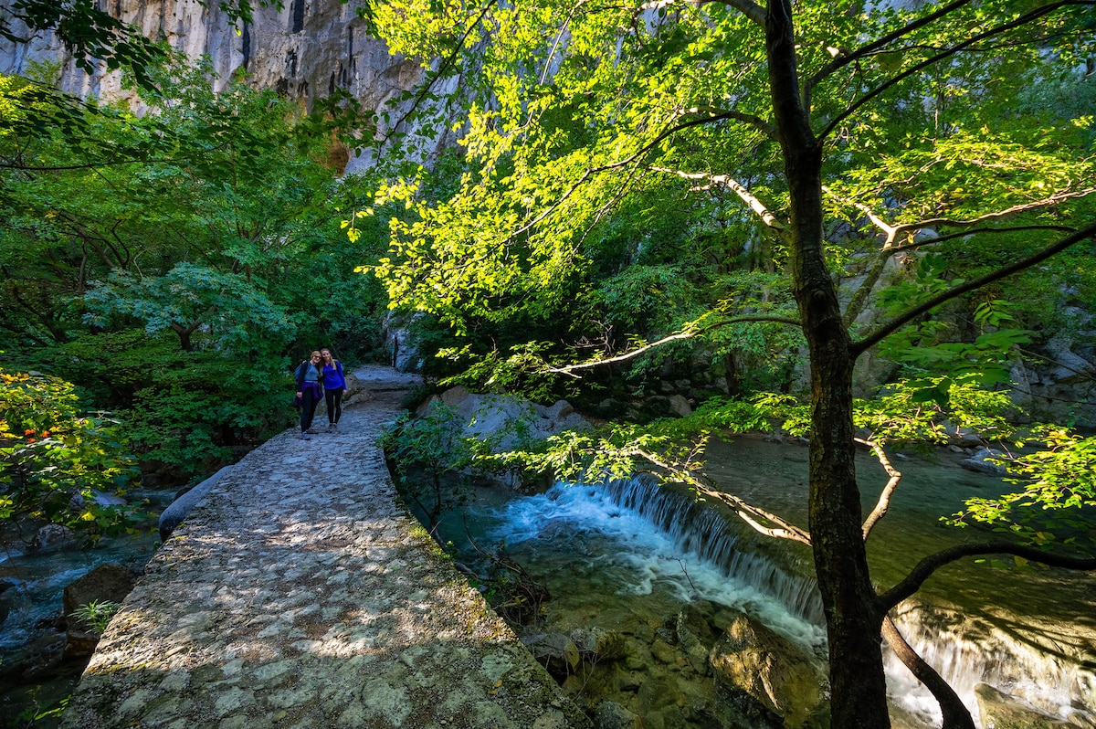 A natural pathway made of stone leads through lush greenery, flanked by vibrant trees. A gentle stream flows beside the path, creating a soothing ambiance. People can be seen walking along the trail, immersed in the serene environment of the surrounding landscape.