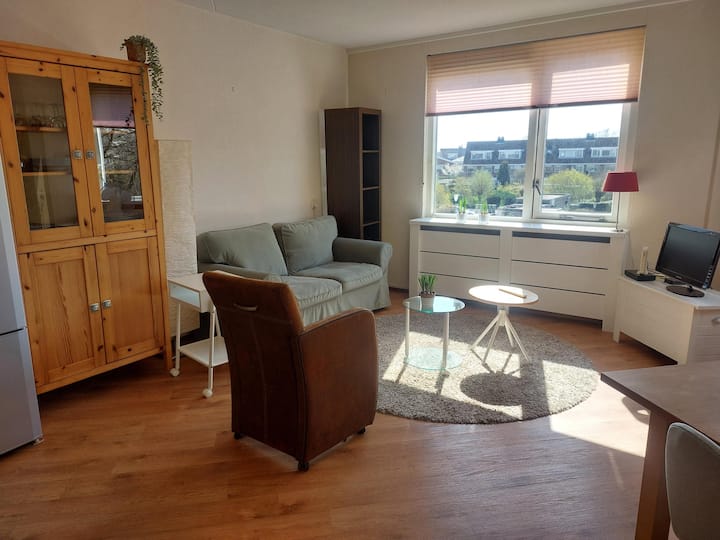 2nd Floor: Bulbfields & Coast - Leiden
