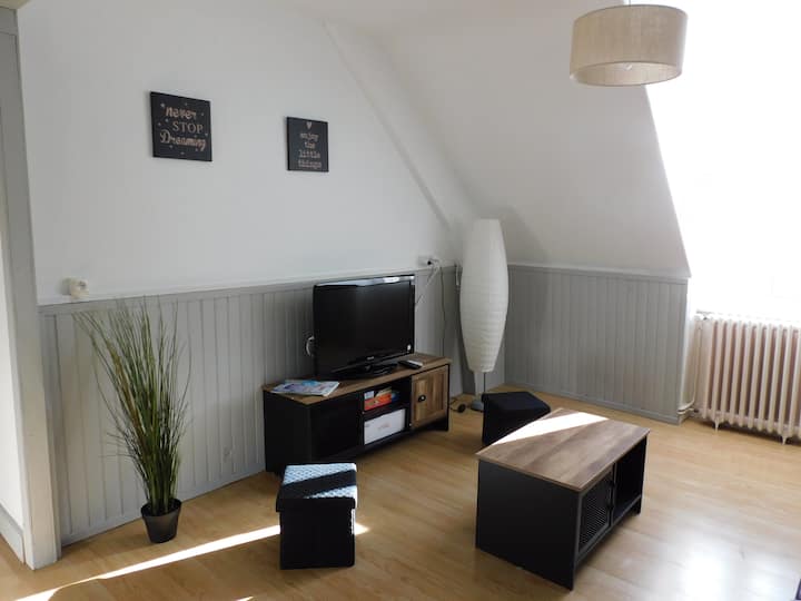 Appartement 2* Tranquille Proche Du Centre-ville - Murat-le-Quaire