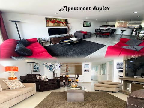 Comfortable, spacious, centrally located duplex apartment Ayli Apartments