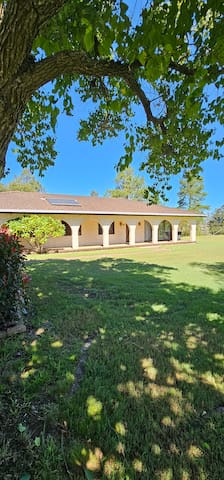 Serendipity On Barrington