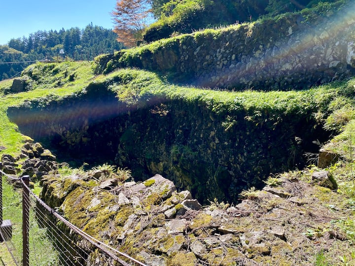 追加写真の写真8