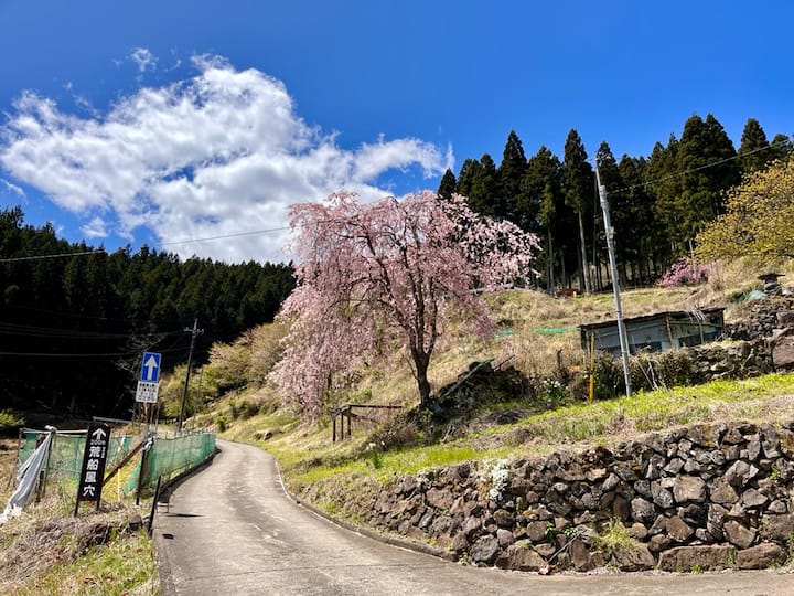 追加写真の写真6