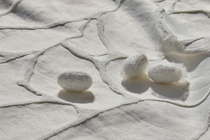 追加写真の写真5